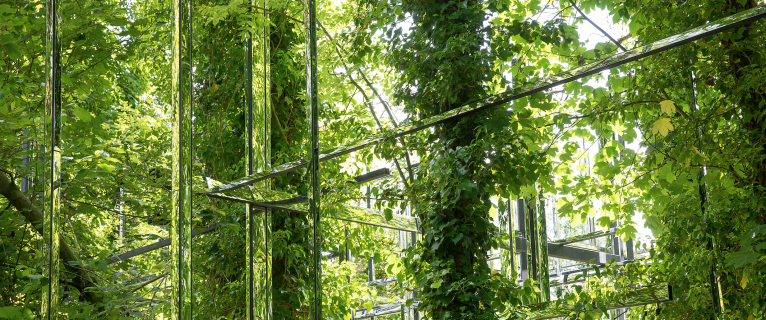 16ème Festival des Hortillonnages d’Amiens, avec l’Ambassade des Pays-Bas ! 16ème Festival des Hortillonnages d’Amiens, avec l’Ambassade des Pays-Bas !