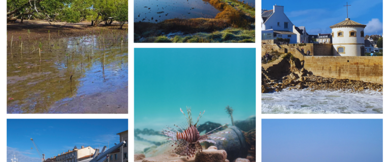UNOC 2025 – Focus sur l’action de la Fondation du patrimoine en faveur des patrimoines maritimes et des littoraux UNOC 2025 – Focus sur l’action de la Fondation du patrimoine en faveur des patrimoines maritimes et des littoraux